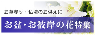 お盆・お彼岸の花特集