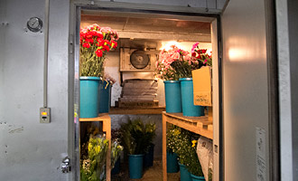大型冷蔵倉庫で花を保管