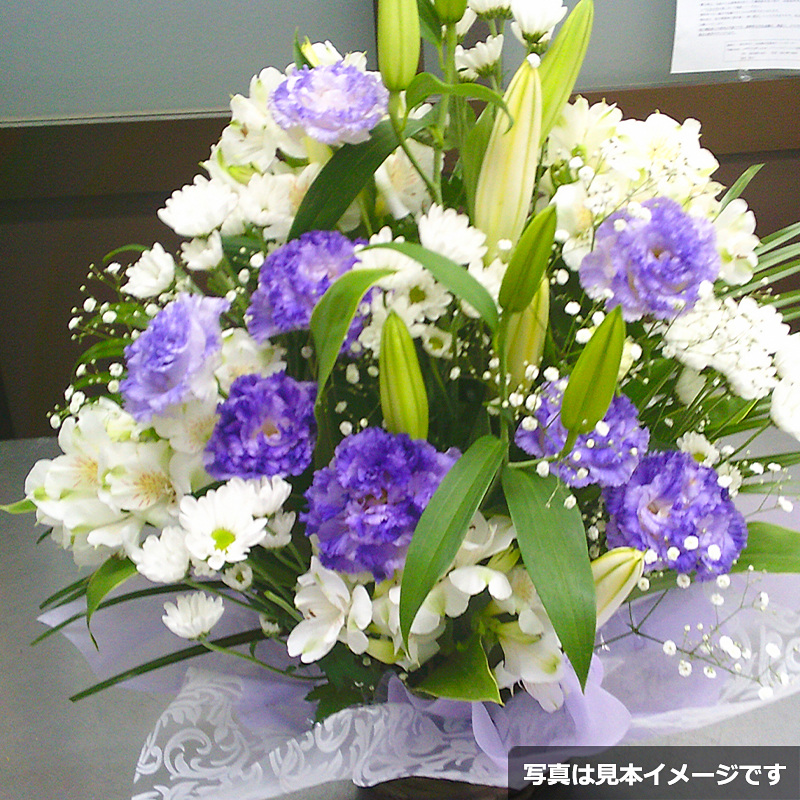 osonae-arrange-5500